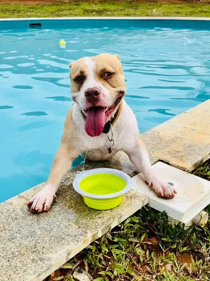 You can't beat that happy, tired-from-swimming grin! A perfect end to a perfect pool day.
