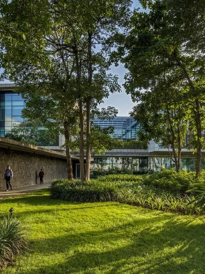 The JSW Administrative Office at Vasind, nestled among mature trees. This view showcases our commitment to preserving the existing green cover and designing buildings that respect their site.