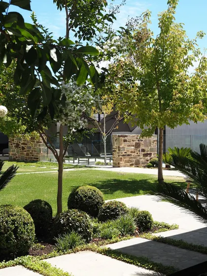 This modern garden design incorporates a rustic stone wall, blending contemporary lines with natural, rugged textures. The open lawn is punctuated by carefully placed trees and shrubs.