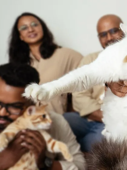 A hilarious outtake where a cat's paw completely blocks the shot. This is the beautiful, unpredictable reality of pet photography!