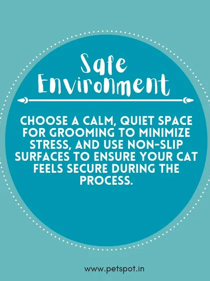 Cat Grooming Tip: Safe Environment. To minimize stress, we recommend choosing a calm, quiet space for grooming and using non-slip surfaces to help your cat feel secure.