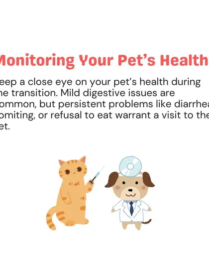 When transitioning to a new diet, keep a close eye on your pet's health. Mild digestive issues can be common, but persistent problems like vomiting or diarrhea require a visit to the vet.