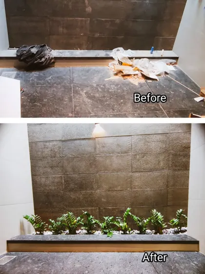 Another view of a small indoor space transformation. I cleared the debris and installed a planter with ZZ plants, adding a touch of green against the stone wall.