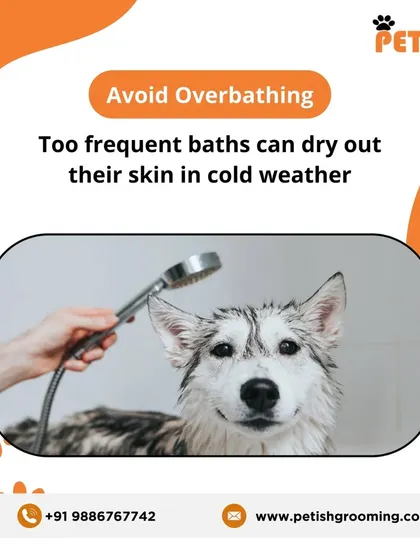Winter care tip: Avoid over-bathing your pet. Too frequent baths can strip natural oils and dry out their skin in cold weather.