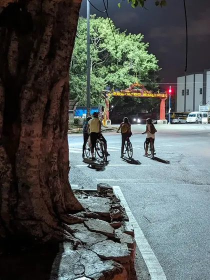 Pausing at a crossing under a large tree. Moments like these, waiting for the signal to change on an empty street, are part of the serene experience of night cycling.