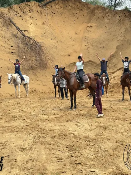 A group of friends celebrates reaching a sandy clearing on their jungle safari. Moments of shared joy and accomplishment like this are what make our group rides so special.