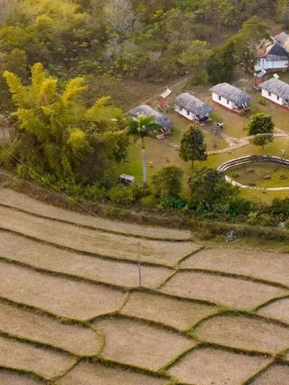 An aerial view of the Lacuna Eco-stay in Coorg, showing how the cottages are beautifully integrated into the landscape of paddy fields and forest.