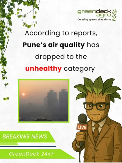 With urban air quality being a concern, healthy indoor plants are more important than ever. We help you maintain the plants that work as natural air purifiers in your home.
