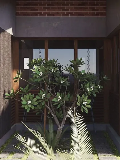 **Upcoming Residence, Ahmedabad:** This render shows an entrance courtyard with a Frangipani tree, brick walls, and rain chains. It's a glimpse into our process of creating welcoming entry experiences that are rich in texture and connected to nature.