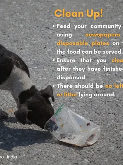 Always clean up after feeding. Using disposable plates or newspapers and ensuring no leftovers are left behind is essential for maintaining hygiene and preventing complaints.