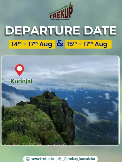 The rocky and misty landscape of the Kurinjal trek. It is a moderately challenging trail that rewards you with spectacular, untouched views.