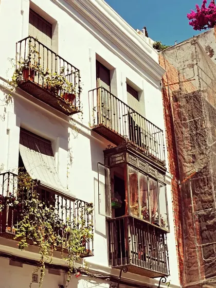 The charming balconies and wrought-iron details of an Andalusian building. This is the everyday beauty you experience on our tour. You stop and smile at every corner, taking in the details that make this city so extraordinary.
