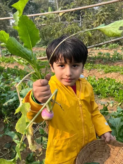 Success. A young boy proudly holds up a turnip he has just pulled from the ground. The thrill of the harvest is a unique experience for our city kids.