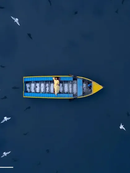 A moment of peace on the Yamuna ghat. This top-down drone shot captures a lone boat surrounded by a flock of Siberian birds, creating a beautiful, artistic pattern on the water.
