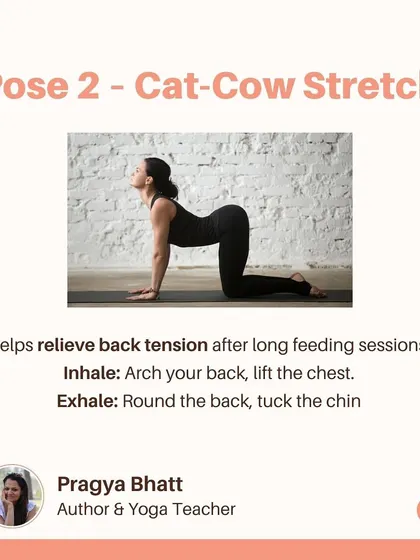 The Cat-Cow stretch is a wonderful pose for new mothers. It helps relieve back tension after long feeding sessions. Inhale to arch your back and lift the chest, and exhale to round the back and tuck the chin.