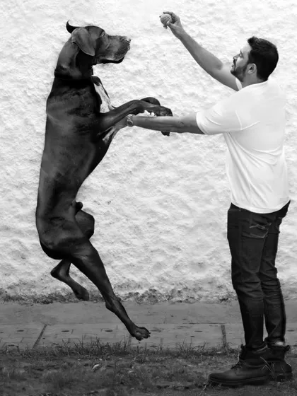 A black and white version of the jumping Great Dane and his owner. Stripping away the color emphasizes the form, motion, and the dynamic energy of their interaction.