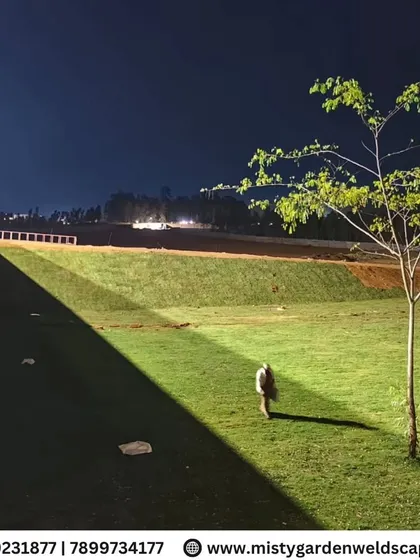 A night view of the newly installed natural lawn at Mother India Farming. The landscape lighting creates a dramatic effect, highlighting the vastness and beauty of the green space.