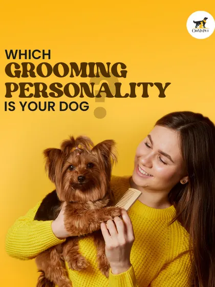 Does your dog love bath time or run from the nail clippers? Understanding your dog's unique grooming personality helps you tailor a routine that works for both of you.