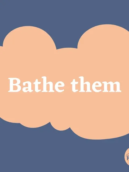 A calm bath on a rainy day can be a great way to practice being handled and to get clean after a muddy walk.