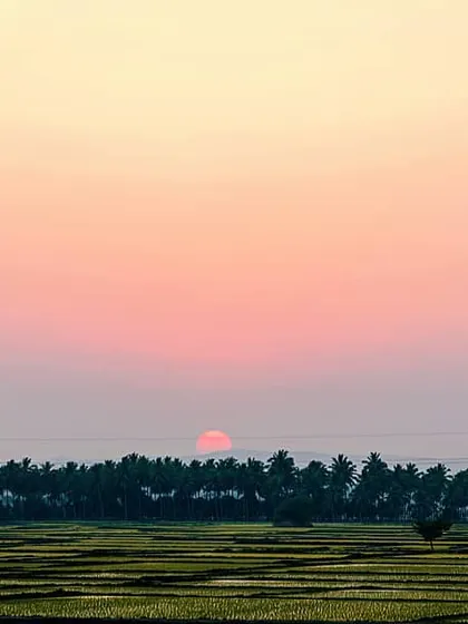There's nothing like a sunset over green paddy fields. The soft, warm colors in the sky and the peacefulness of the landscape make this a classic travel shot for me. It’s a simple moment of natural beauty.