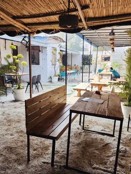 The open-air seating at this cafe is made more inviting with the addition of large potted palms and simple wooden furniture.