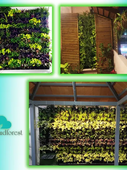 This collection showcases the rich variety of textures and colors I can achieve with natural vertical gardens. By carefully selecting and arranging different plant species, I create dynamic, living tapestries that evolve with the seasons.