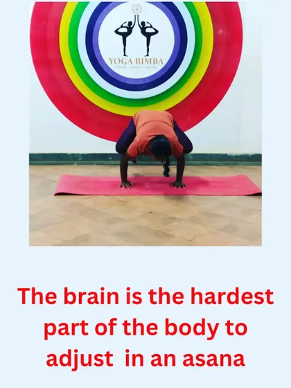 "The brain is the hardest part of the body to adjust in an asana." This profound quote from B.K.S. Iyengar reminds us that yoga is a mental discipline as much as a physical one.