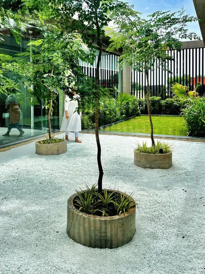 This landscape courtyard finds harmony between the wild and the tamed. A white gravel court provides a minimalist canvas for thoughtfully placed trees in concrete planters, creating a serene and contemplative office landscape.