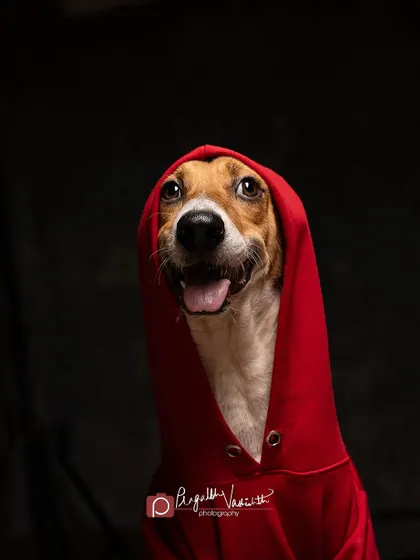 A happy, smiling expression from our red-hooded star. It shows the range of emotions we can capture in a single session.