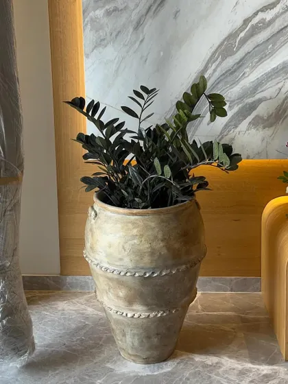 A close-up of this beautiful rustic planter holding a dark-leaved ZZ plant. The earthy texture of the pot contrasts wonderfully with the sleek marble floor and modern furniture.