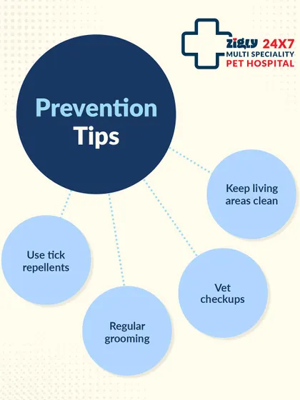 Ticks can cause big problems, but prevention is simple. This infographic outlines four key prevention tips: regular grooming, using tick repellents, keeping living areas clean, and scheduling regular vet checkups.