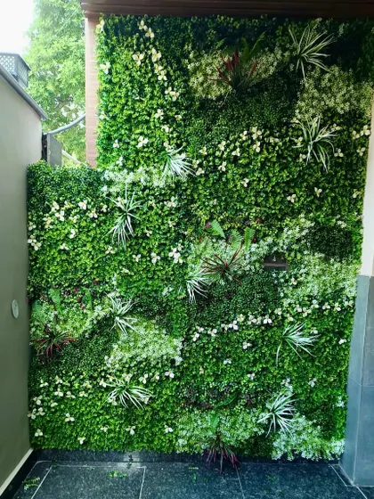 A lush and dense vertical garden in a residential outdoor space, featuring a mix of white flowers and varied green foliage.