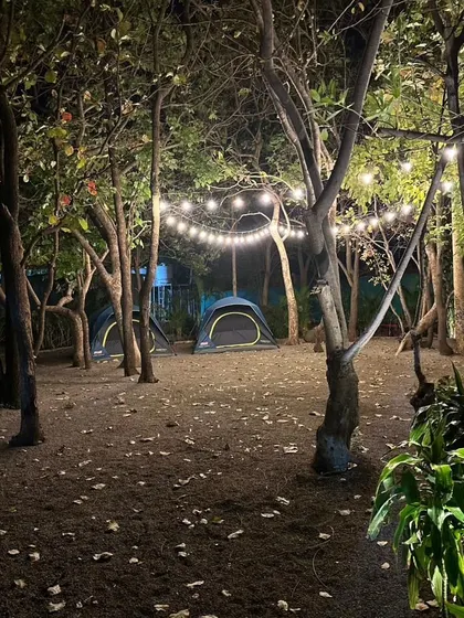 Tents set up in our wooded camping area, illuminated by overhead lights. We ensure the campsite is well-lit and easy to navigate after dark.