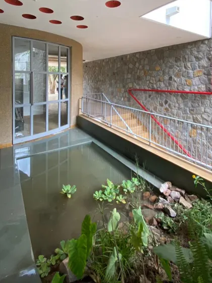 The entry-level pond is designed to mimic a natural marsh, using a mix of alocasia, canna lily, and wild grasses to create a habitat for birds and insects.