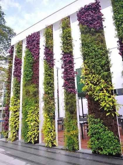 Vertical green pillars installed on a building's exterior. This design uses contrasting plant colors like deep purples and bright greens to create a bold, striped pattern.