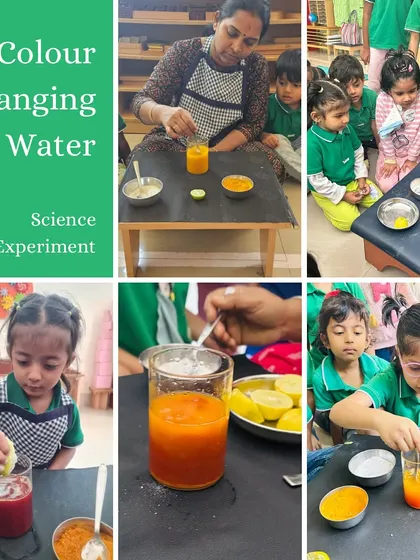 This color-changing water experiment is a favorite in our classroom. Using natural ingredients like turmeric and lime, children watch in amazement as the water transforms. It's a simple, magical introduction to chemical reactions.