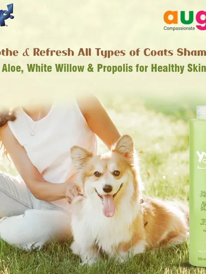 For all coat types, we recommend this Soothe & Refresh shampoo. Made in Italy with Aloe, White Willow, and Propolis, it purifies the skin, regulates sebum, and leaves the coat healthy and vibrant.
