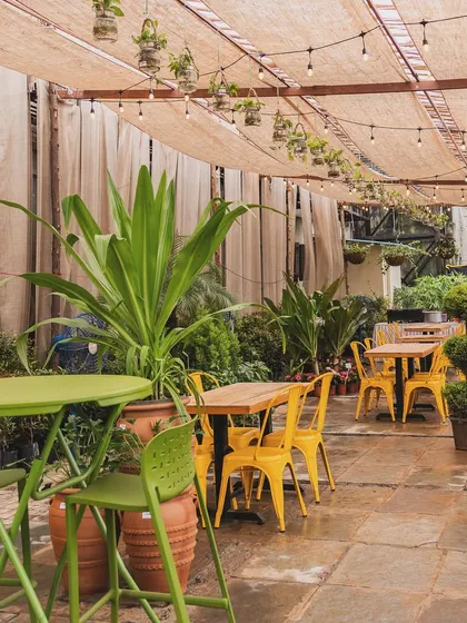 Our outdoor seating area, where you can enjoy your food and drinks amidst even more plants. The bright yellow chairs add a pop of cheerful color.