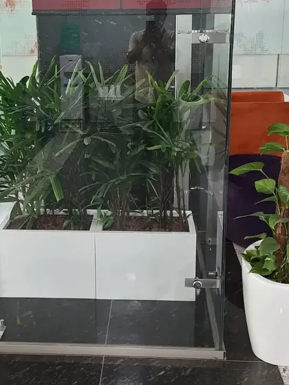We use a combination of planter shapes and sizes to create visual interest. Here, a rectangular planter with Areca Palms is paired with a smaller pot holding a money plant on a moss pole.