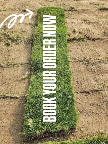 A single, perfect strip of our turf, ready for installation. Book your order now to get started.
