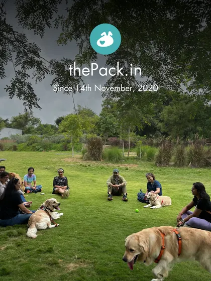 This image from one of our first meet-ups marks our journey since November 14th, 2020. It's been an amazing ride.