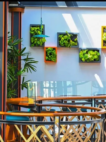 In collaboration with the designers of The Fixx pub, we created these wall-mounted planter boxes. The colorful frames and green foliage act as decorative art pieces, contributing to the pub's modern and energetic atmosphere.