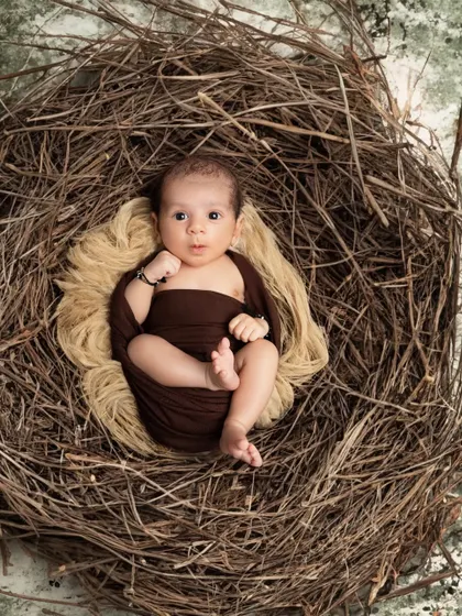 A curious newborn wrapped in a brown swaddle looks up from a rustic nest. This shot captures a beautiful moment of stillness and wonder.