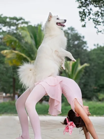 A truly amazing trick! This photo captures a talented young dancer in a backbend with her well trained dog balancing perfectly on her.