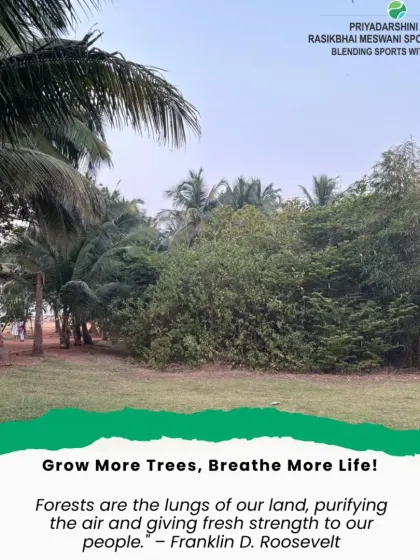 On the International Day of Forests, this image of our park's dense greenery reminds us of the importance of trees for clean air and a healthy environment.