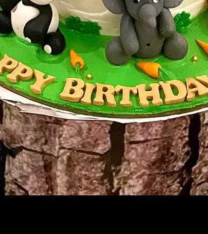 The base of the jungle cake, showing the 'Happy Birthday' message and the log-textured plinth it sits on.