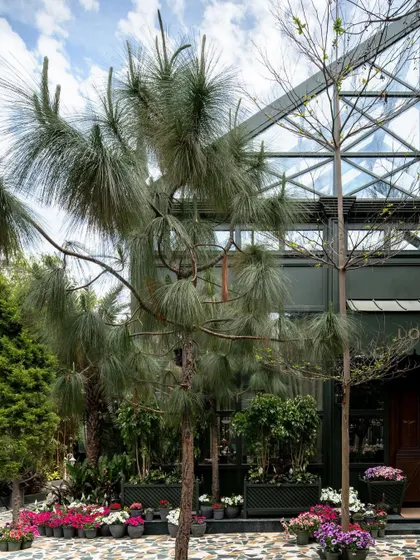 Exterior details of the Lord Elgin Glasshouse, where the architectural form is in constant dialogue with the surrounding landscape. The design feels both man-made and deeply connected to nature.