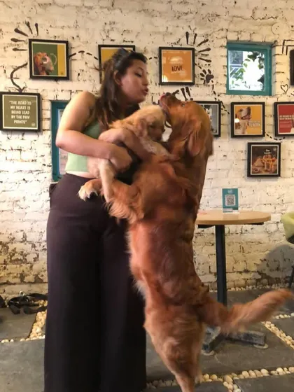 A full-on hug! The love between people and pups at our cafe is just heartwarming.