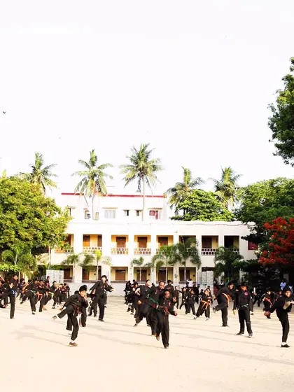 A wide view of our combined belt test, with students of all levels performing kicking drills in unison. Training outdoors like this builds resilience and adaptability.
