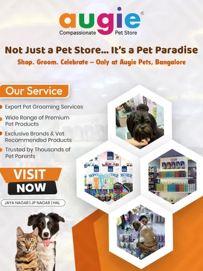 We're not just a pet store, we're a pet paradise. At our Bangalore locations, you can shop for premium products, get expert grooming services, and celebrate your pet. It's all here under one roof.